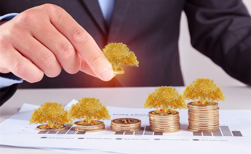 業(yè)績管理與績效評(píng)估、薪酬管理和職業(yè)發(fā)展之間的關(guān)系