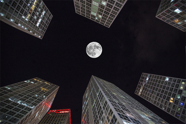 「營銷管理咨詢」解鎖社交媒體的力量，讓品牌騰飛！