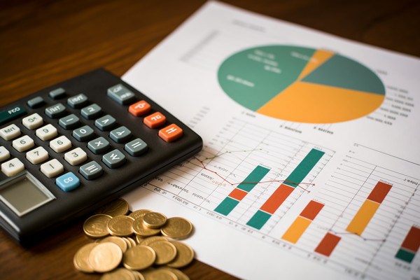 強化集團管控：財務，人力資源，信息技術的整合