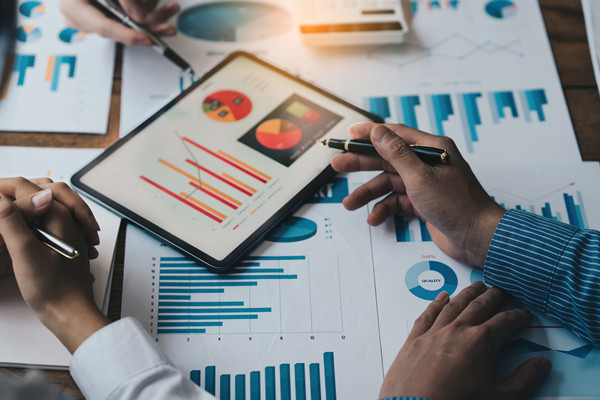 滾動預(yù)算咨詢：協(xié)助企業(yè)實施滾動預(yù)算，持續(xù)優(yōu)化預(yù)算