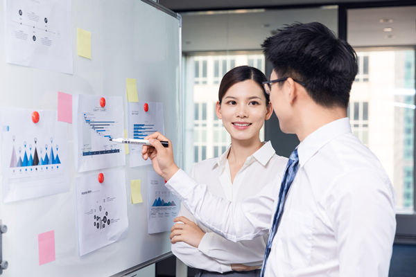 組織咨詢：協(xié)助企業(yè)制定組織發(fā)展戰(zhàn)略，推動(dòng)組織成長