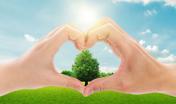 年度可持續(xù)發(fā)展計(jì)劃：綠色發(fā)展，共享價(jià)值