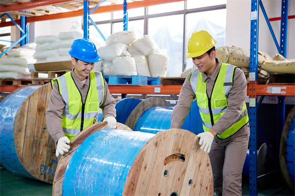 協(xié)同供應(yīng)鏈：強(qiáng)化合作伙伴關(guān)系，提升整體競爭力