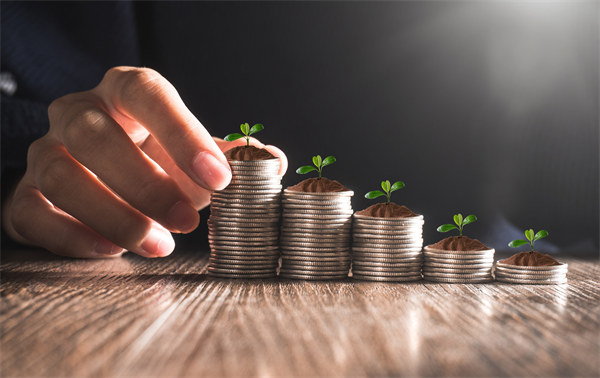 從集團(tuán)管控到企業(yè)成長：培育可持續(xù)發(fā)展的競(jìng)爭優(yōu)勢(shì)