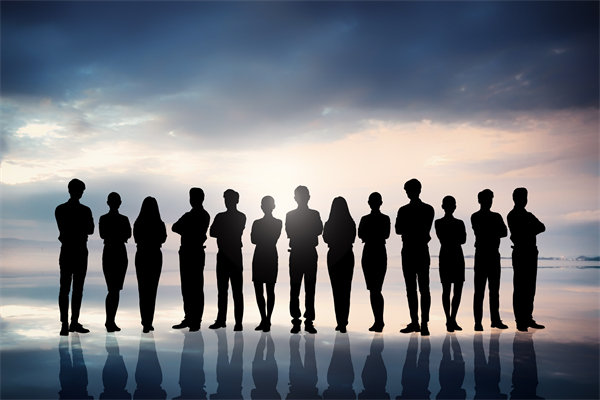 優(yōu)化組織結(jié)構(gòu)，提升協(xié)作效能，助推組織發(fā)展新高度