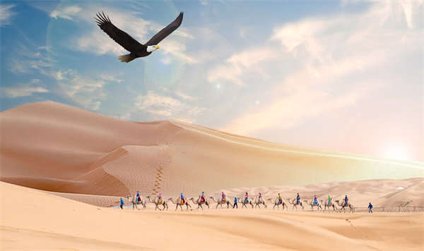 集團(tuán)管控升級(jí)迭代，激發(fā)企業(yè)活力，實(shí)現(xiàn)持續(xù)領(lǐng)先