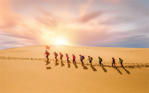 風險防范：構(gòu)建全面風險管理體系，保障企業(yè)穩(wěn)健發(fā)展