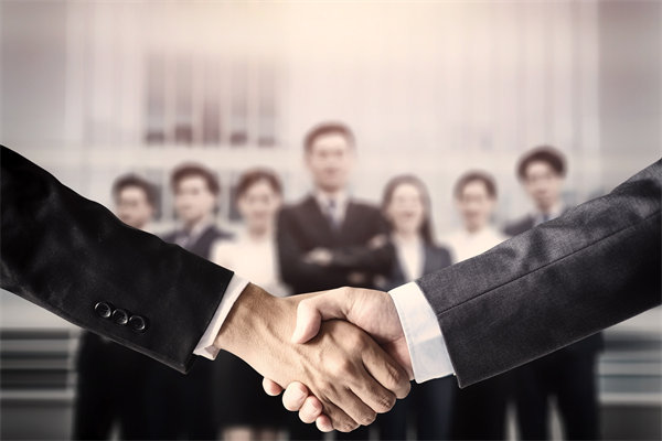 集團(tuán)管控中的戰(zhàn)略協(xié)同，推動企業(yè)持續(xù)增長與發(fā)展