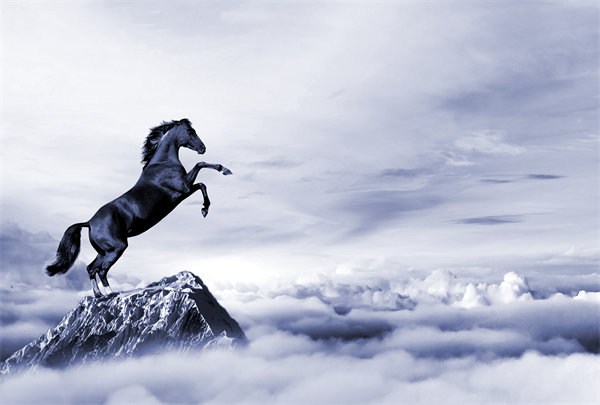 深度整合企業(yè)戰(zhàn)略資源，構(gòu)建高效運營管理體系