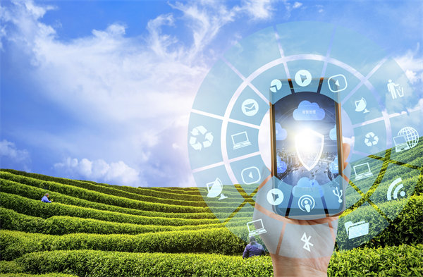 在精益轉(zhuǎn)型中，如何平衡標(biāo)準(zhǔn)化作業(yè)與靈活性需求？