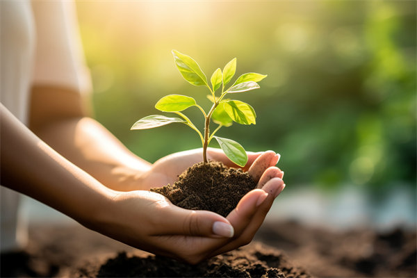 可持續(xù)發(fā)展成為趨勢，企業(yè)如何融入綠色戰(zhàn)略以促增長？