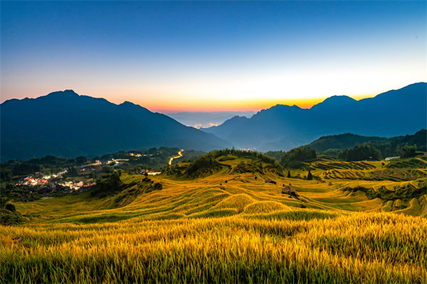 定制化管理咨詢(xún)方案：麗水企業(yè)轉(zhuǎn)型升級(jí)的鑰匙？