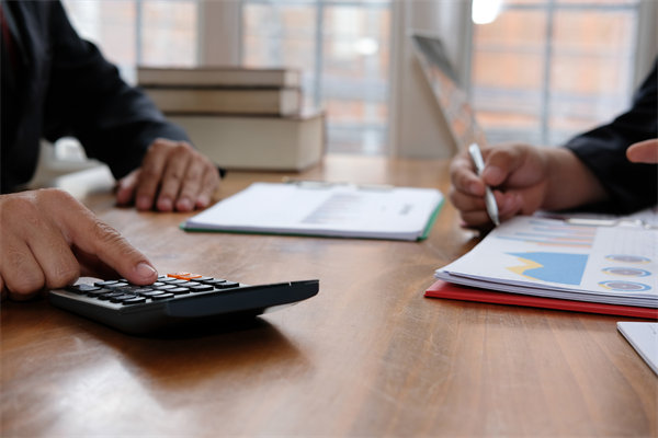 預(yù)算管理系統(tǒng)中，如何平衡自動(dòng)化與人工審核的利弊？