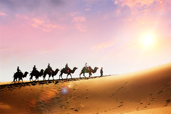 企業(yè)文化在人力資源管理中，扮演著怎樣的角色？