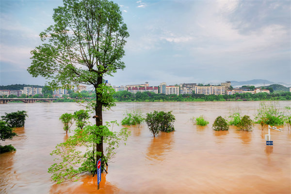 供應(yīng)鏈韌性建設(shè)：面對自然災(zāi)害的應(yīng)急計劃與恢復(fù)力？