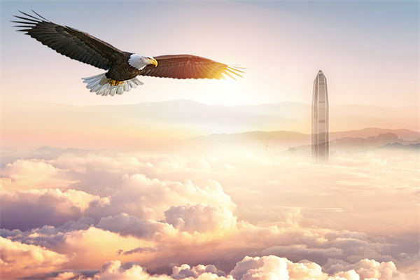 企業(yè)文化與企業(yè)管理如何協(xié)同，推動(dòng)企業(yè)持續(xù)發(fā)展？