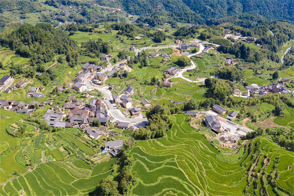 麗水人力資源咨詢(xún)公司如何優(yōu)化企業(yè)人才布局？