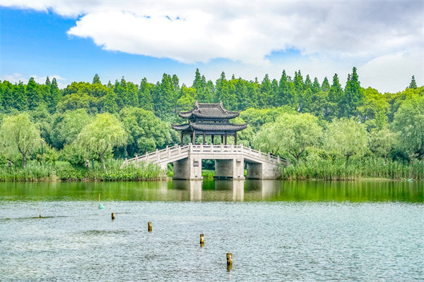 常州組織規(guī)劃咨詢公司如何設(shè)計(jì)高效組織架構(gòu)？