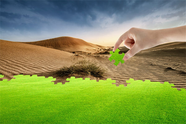 企業(yè)深陷困境，管理咨詢?nèi)绾我岳做侄未蚱瓢l(fā)展僵局？