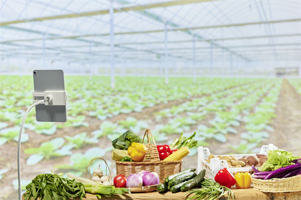 營(yíng)銷(xiāo)管理角度分析：直播帶貨靠的不是“演技”而是誠(chéng)信