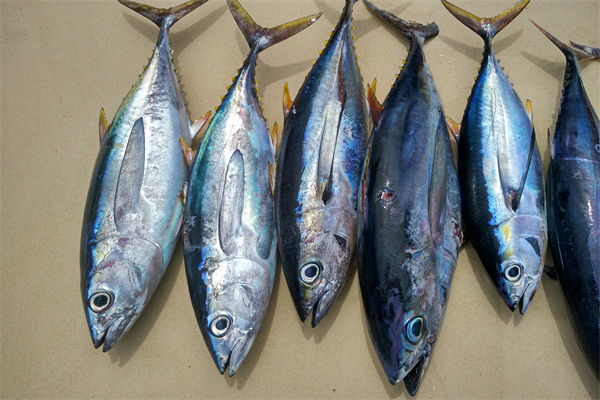 商務(wù)部：將幫助外貿(mào)企業(yè)擴(kuò)寬內(nèi)銷渠道，政策解讀！