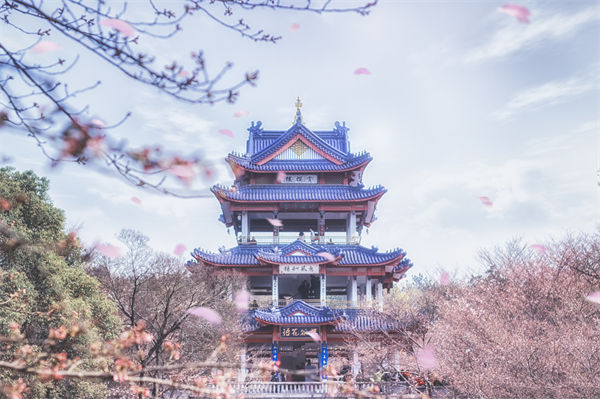 供應鏈成本居高不下，無錫供應鏈咨詢公司如何精準砍出利潤空間？