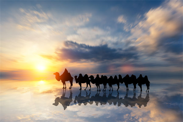 戰(zhàn)略與文化脫節(jié)，企業(yè)理念如何落地支撐發(fā)展？