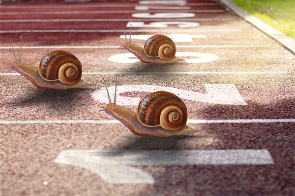 新業(yè)務(wù)拓展艱難，年度經(jīng)營計劃為其定制專屬發(fā)展路徑