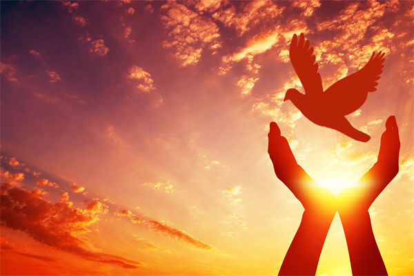 別讓盲卡盲盒“收割”孩子，關(guān)聯(lián)企業(yè)戰(zhàn)略怎么看？