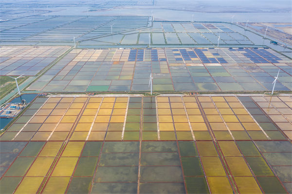 濰坊集團(tuán)子公司失控內(nèi)耗嚴(yán)重，濰坊集團(tuán)管控咨詢公司如何重構(gòu)權(quán)責(zé)體系？