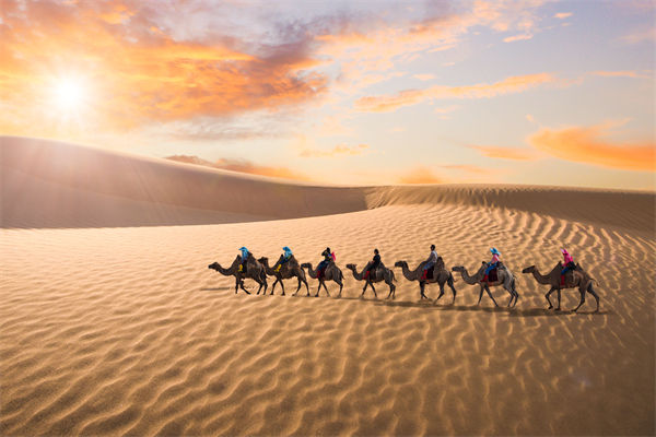 企業(yè)文化管理失效？這三大認知誤區(qū)為何拖垮團隊？