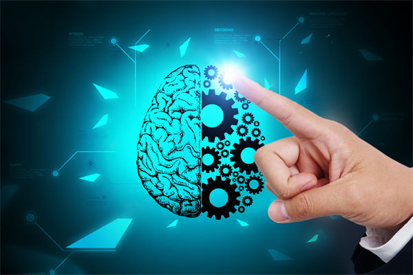 人力資源管理流程規(guī)范嚴(yán)謹(jǐn)，員工創(chuàng)造力為何反而受抑制？