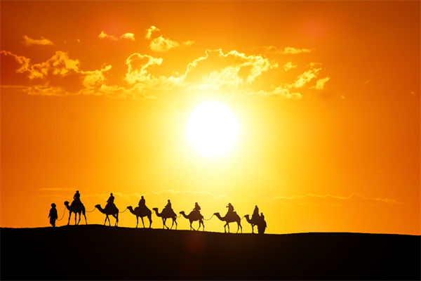 高層標(biāo)榜的企業(yè)文化，如何穿透形式真正落地生根？