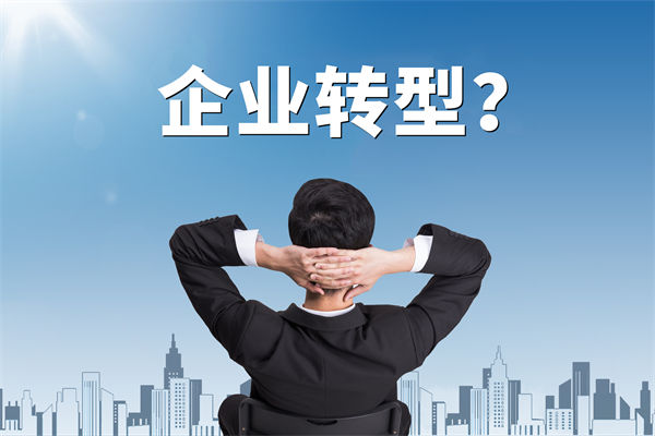 企業(yè)轉(zhuǎn)型無(wú)方向，數(shù)智化咨詢公司能否指引明路？
