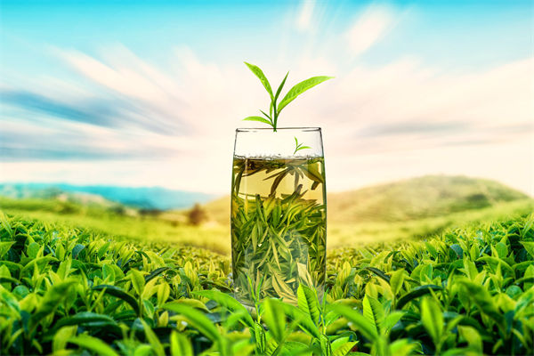 供應(yīng)鏈管理分析：多個(gè)奶茶品牌回應(yīng)檢出反式脂肪酸