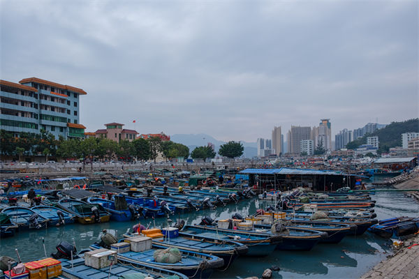 精益生產(chǎn)分析：開海第一網(wǎng)撈8000斤，船長合不攏嘴