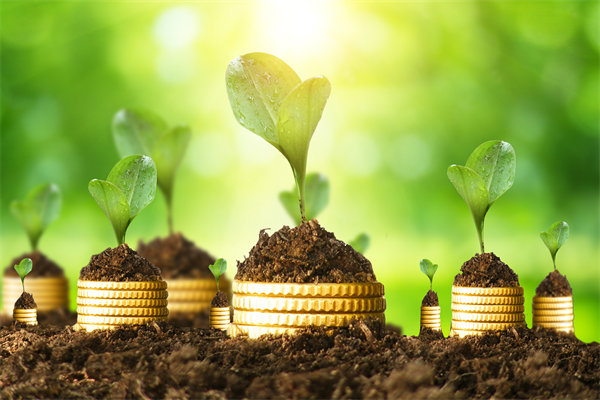 預(yù)算管理咨詢公司如何幫助企業(yè)破解資金錯配問題？