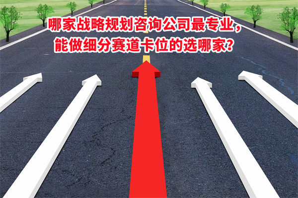 哪家戰(zhàn)略規(guī)劃咨詢公司最專業(yè)，能做細分賽道卡位的選哪家？