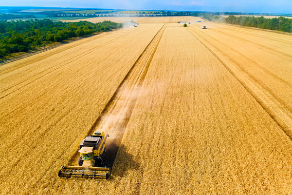 農業(yè)行業(yè)供應鏈管理咨詢公司推薦，能解農資采購成本高問題嗎？