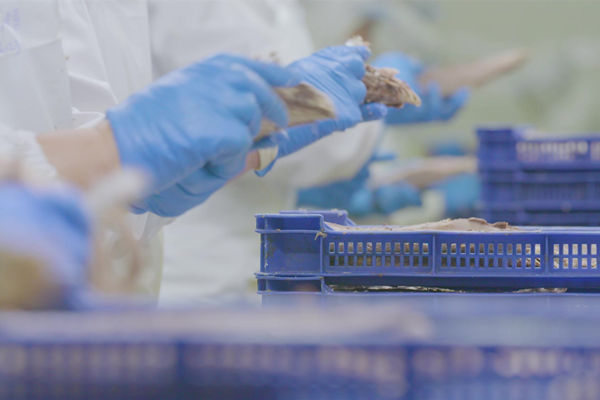 本土駐廠精益生產(chǎn)咨詢哪家強(qiáng)，能快速提升產(chǎn)線流轉(zhuǎn)效率么？